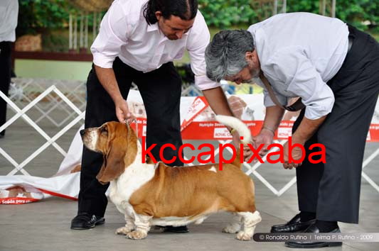 Clique sobre a foto para fechar